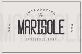 Marisole: A Font That Fits the Campaign