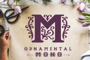 Ornamental Mono: A Serif Font for Crafting Beauty and Function