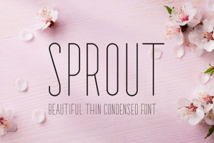 Sprout: A Delicate Sans Serif for Branding Projects